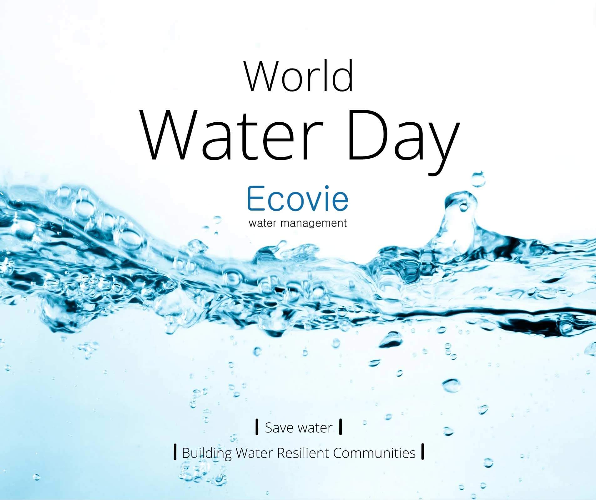 ecovie world water day poster